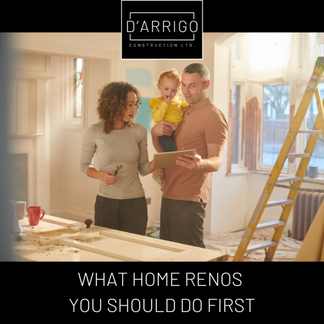 Shane Arrigo, Owner of Arrigo Construction